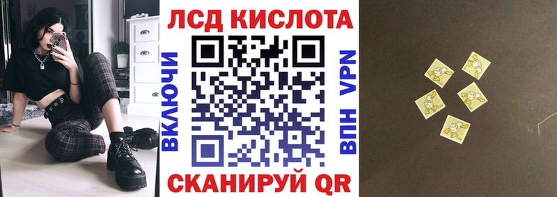 Купить где Пучеж Марки N-bome 1,8мг