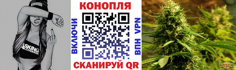 Канабис план  Купить где  Пучеж 